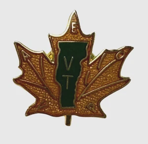 Vermont Pin Karte Ahornblatt goldfarben Metall Anstecknadel Pinback grün Zustand - Bild 1 von 2