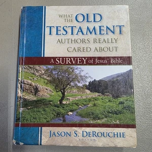 What the Old Testament Authors Really Cared About: A Survey of Jesus' Bible - Bild 1 von 5