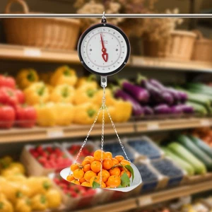 22 Pfund doppelseitiges Zifferblatt mechanische hängende Waage mit Schaufel & Kette - Bild 1 von 14