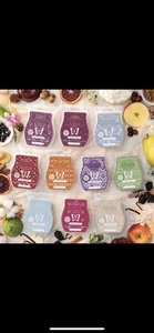 6 Full Size Scentsy Wax Bars For Just £30, Pick From Lots Of Scents - Picture 1 of 5