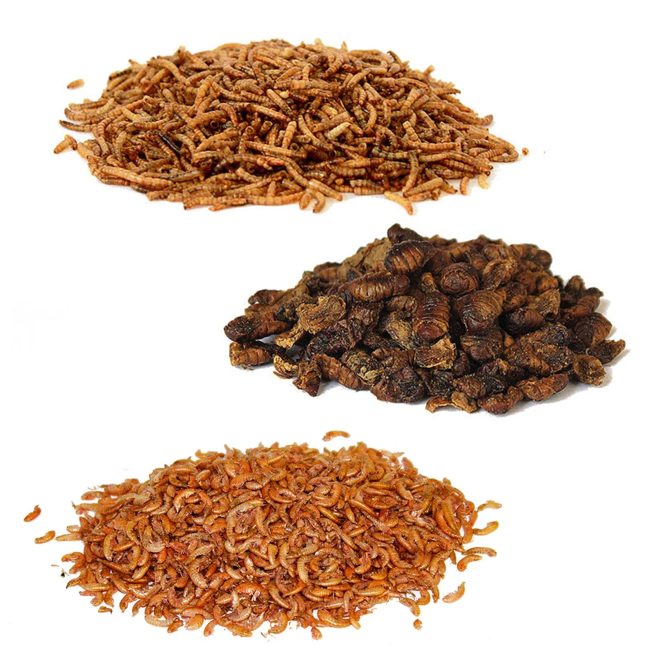 Koifutter 10 Liter im Eimer getrocknete Mehlwürmer Seidenraupen Bachflohkrebse - Bild 1 von 1