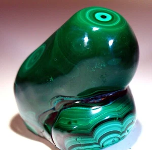 2.75" 16.3 oz Top Quality Polished Bull's Eye Malachite Stalactite, Congo! M675 - Picture 1 of 4