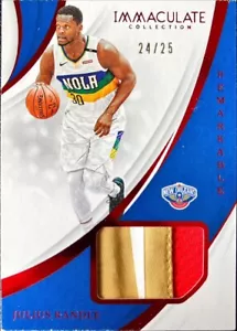 JULIUS RANDLE 2018 IMMACULATE SWATCHES RED 4 COLOR GAME USED JERSEY /25 #RM-JRD - Picture 1 of 2