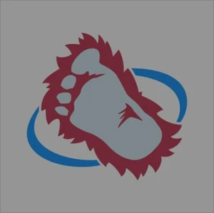 Colorado Avalanche #2 NHL Team Pro Deportes Vinilo Adhesivo Calcomanía Coche Ventana Pared - Imagen 1 de 4