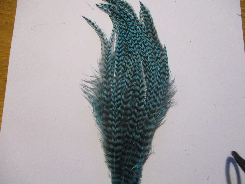 Parche Whoolly Bugger Hackle azul verde azulado serpentinas lucio bajo salmón Foto 1 de 1