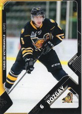 2013/14 Victoriaville Tigres - LUKAS POZGAY