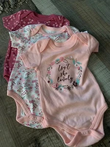 NEW Quiltex Baby 3 Pack Bodysuits 6-9 Months, Pink, Floral, Isn't She Lovely - Picture 1 of 2
