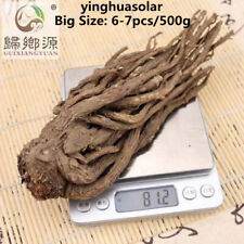 250g Whole Radix Angelica Sinensis Dong Quai Dang Gui Whole Dried Herb 岷县不硫熏当归条