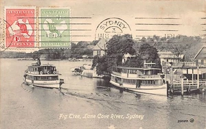 Australia - SYDNEY (NSW) Fig Tree, Lane Cove River - Publ. The Valentine & Sons - Picture 1 of 2
