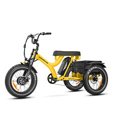 ADDMOTOR Electric Trike750W 85MI 48V Fat Trie Etrike with Parking Brake Tricycle