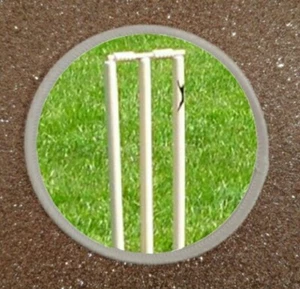 Cricket Wickets 3" Sublimation Iron Or Sew On Patch Badge - Picture 1 of 1