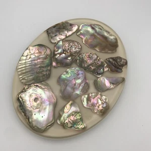 Vintage 1980’s Abalone Shell in Lucite Oval Footed Hot Plate / Trivet - Picture 1 of 6