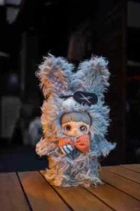 Original MayMei Dark Forest Blindbox Puppe Anhänger Plüschtier Crazy Rabbit Elda - Bild 1 von 1