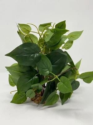 Arbusto Pothos de seda muy suave 7" de grosor medio TODO VERDE, base de piedra, Foto 1 de 4