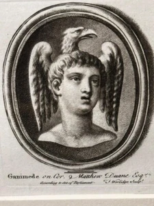 Retrato de Ganímedes, Colección Matthew Duane. Grabado de Thomas Worlidge - Imagen 1 de 7