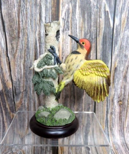 Bird Figurine BORDER FINE ARTS STUDIO Northern Flicker 4005316 - Picture 1 of 2