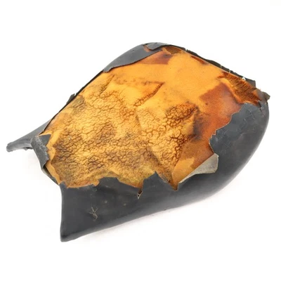 04 05 2004 2005 年本田 Cbr 1000rr 前驱动座椅驾驶员靠垫 Oem 零件 D59 — 第 1/4 张图片