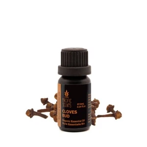 Clove essential oil - Picture 1 of 1