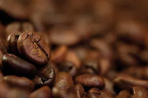 Caffè tostato fresco caffetteria 25 libbre chicchi interi caffè tostato gourmet in grani - Foto 1 di 1