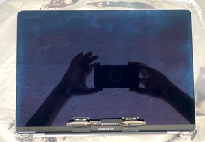 Apple MacBook Pro A2159 A1989 2018 2019 13 schermo assemblato sliver grado B+ - Foto 1 di 2