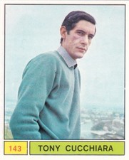 PANINI Singers Figure - TONY CUCCHIARA N.143 - 1969 Original