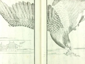 PURE LAND SCHOOL Japanese Woodblock Print Book Buddhism Priest Donryu Meiji b688 - Picture 1 of 15