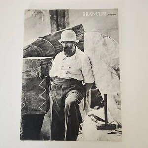 BRANCUSI: photographe Georges Pompidou 1977 [French Edition] Paperback - Picture 1 of 13