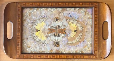 Antigua bandeja para servir ala mariposa artesanal de madera con incrustación de vidrio 9,25 x 16,5" Foto 1 de 3