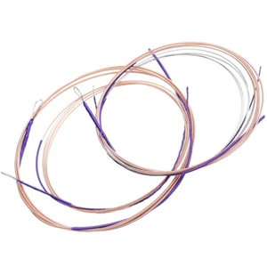 4Pcs Musical High-grade Household Pipa Strings Replacements Chinese Lute Pipa - Picture 1 of 12