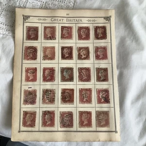 Lovely Early Page Of Penny Red Stamps. Mainly Star, Some Pl. Number Cancels - Picture 1 of 7