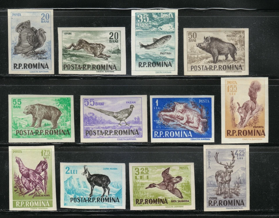 Romania 1956 MNH Mi 1614-1625 Sc 1082-1093 Imperf Animals.WWF.Superb full set ** - Image 1 of 2