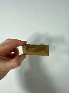 Neuropteris sp. 75 mm [ FOSSILE FAUNA 324 - 298 Mill Jahre alt] - Bild 1 von 11