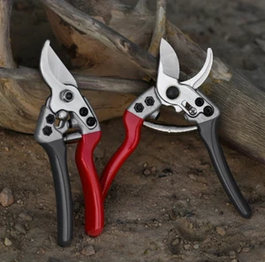 Pruning branches pruning fruit trees pruning flowers pruning branches flowers - Picture 1 of 4