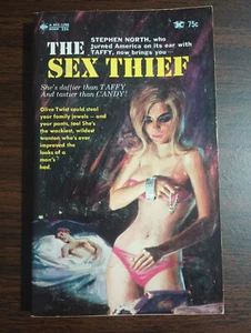 1967 The Sex Thief by Earl and Johnson a Bee Line Erotic Fiction - Imagen 1 de 6