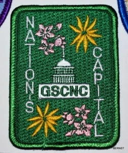 GIRL SCOUT COUNCIL PATCH - NATION'S CAPITAL COUNCIL - FREE SHIPPING - Picture 1 of 1