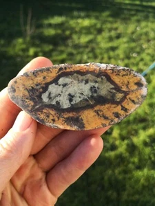 Greenstone Pounamu NZ Nelson Nephrite Jade picture art Slab lapidary carving - Picture 1 of 6
