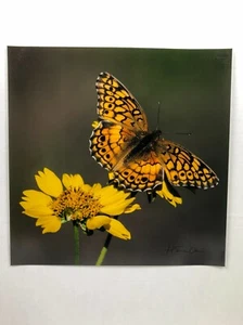 H Eric Olsen Monarch Butterfly Texas Wildlife Art Photo Print - Picture 1 of 6
