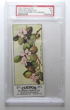 1924 V20 Cowan Co. Wild Flowers of Canada #17 Trailing Arbutus PSA 5