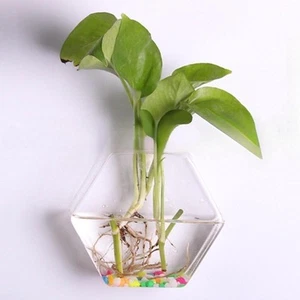 Wall Planter Hexagon Container Home Decor for Apartment Bathroom Living Room - Picture 1 of 6