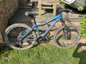 Girls mountain Bike 17 Inch Frame - Picture 1 of 1