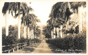 # B2036 HONOLULU, HI. FOTO POSTAL REAL, AVE. DE PALMERAS REALES - Imagen 1 de 2