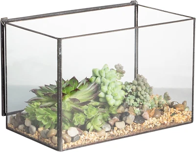 Small Rectangle Glass Terrarium Planter with Lid, 6.7 X 4 X 4.8 Inches Clear Bla - Image 1 of 4