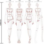 Fashion Ruler Fashion Line Drawing Human Dynamic Template for Clothing Design 