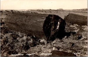 Petrified Forest, Arizona Vintage RPPC Photo Postcard Petrified Stumps Logs UNP - Picture 1 of 2