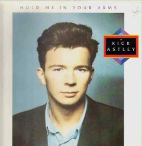 Rick Astley Hold Me In Your Arms NEAR MINT BMG Vinyl LP - Bild 1 von 1