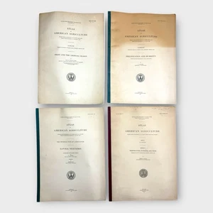 Atlas der amerikanischen Landwirtschaft USDA Karten 1918-1928 Satz 4 große Vintage Bände - Bild 1 von 14