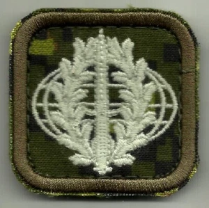 Canadian Army Special Operations Assaulter Qualification Badge - Bild 1 von 1