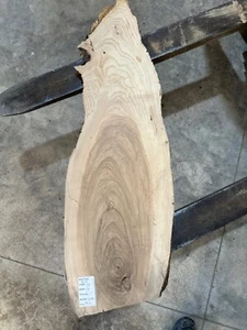 White Ash slab #2481, live edge slab, unfinished, free shipping - Picture 1 of 6