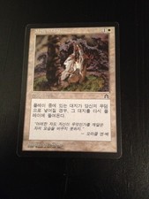 Mtg magic stronghold sacred ground (korean sol sacre) nm