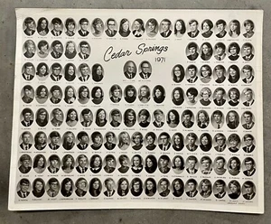 1971 CEDAR SPRINGS HIGH SCHOOL PHOTO, CEDAR SPRINGS, MI - Bild 1 von 4